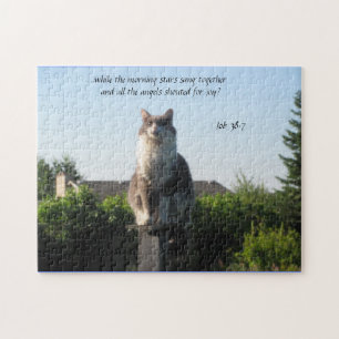 Kreuz Mit Augen Katze und Job 38:7