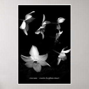Kreuze Poster