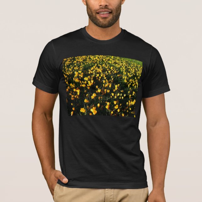 Kreuze T-Shirt (Vorderseite)