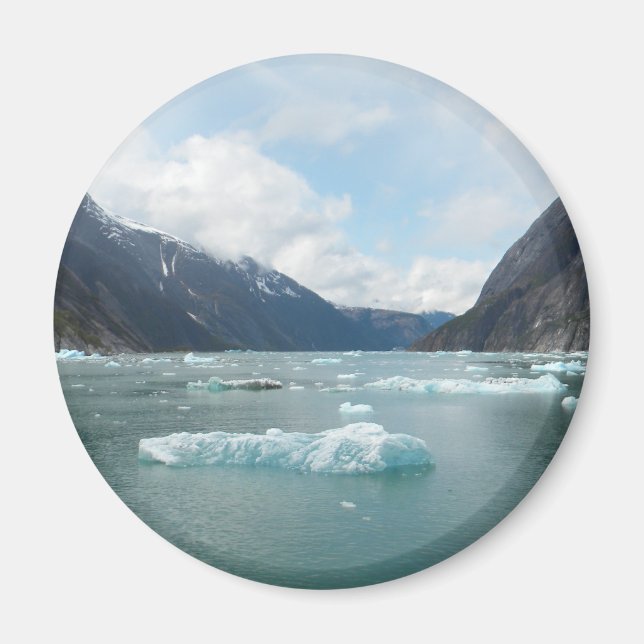 Kreuzfahrt Alaska Inside Passage Magnet (Vorne)