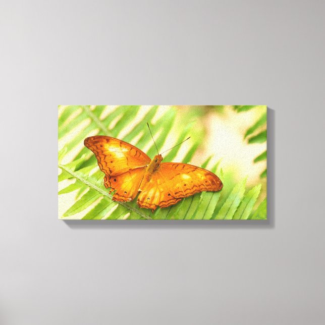 Kreuzschmetterling Leinwanddruck (Vorderseite)