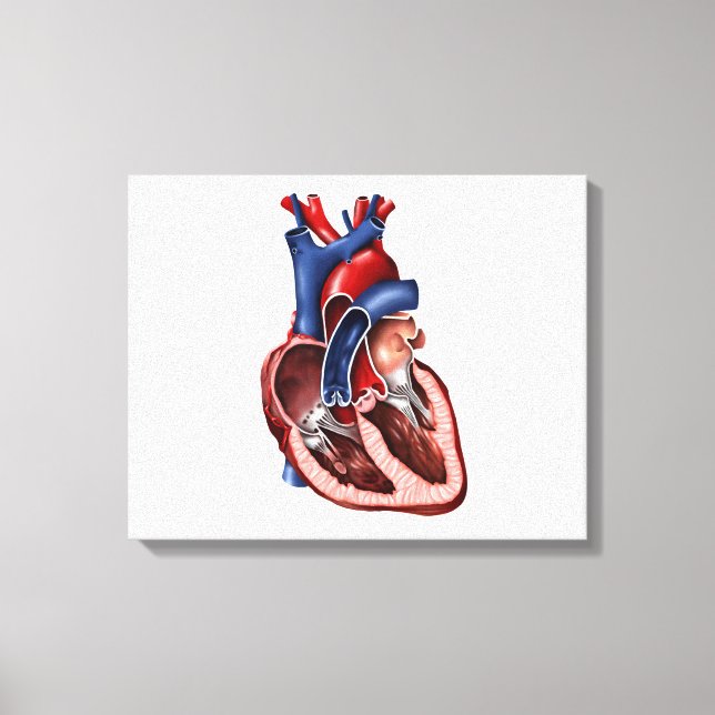 Kreuzung des menschlichen Herzens Leinwanddruck (Vorderseite)