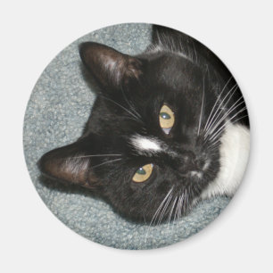 Kricket Magnet