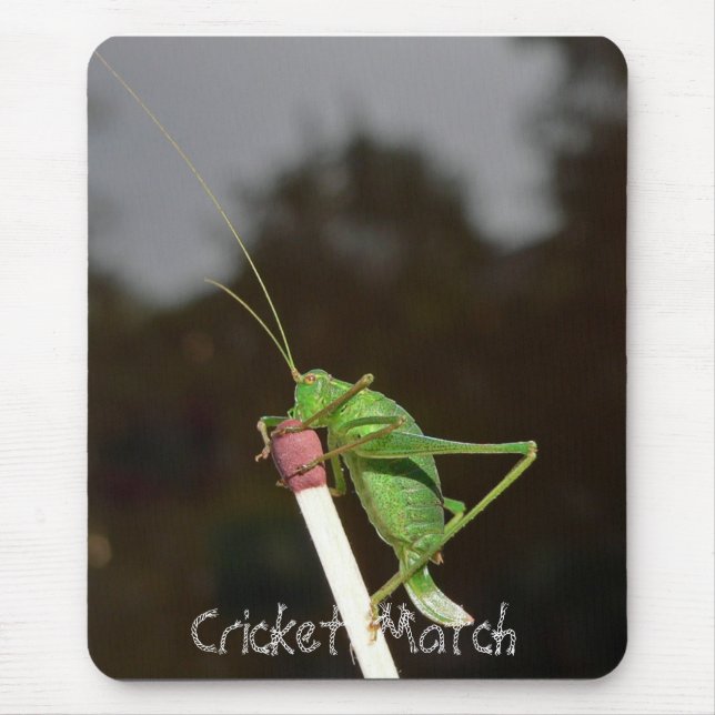 Kricket-Match-Mäusematte Mousepad (Vorne)