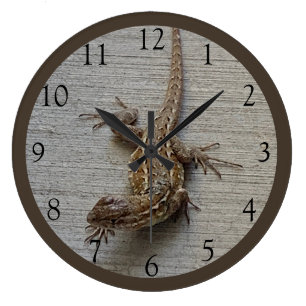 Kriechende Eidechse  Große Wanduhr