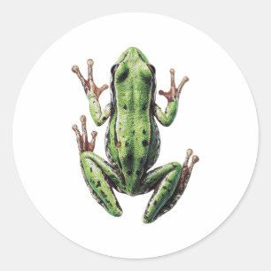 Kriechender Frosch Runder Aufkleber