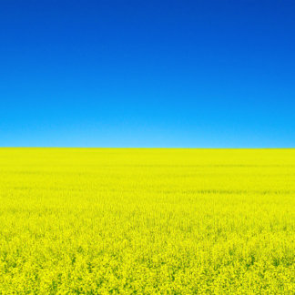 Krieg und Frieden Postkarte