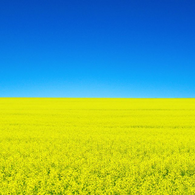 Krieg und Frieden Postkarte (Von Creator hochgeladen)