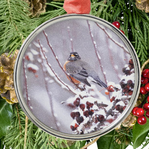 Krieger Amerikanische Rotkehlchen im Winter Silbernes Ornament