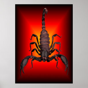 KRIEGSKORPION POSTER