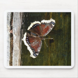 Krimson und White Butterfly Mousepad