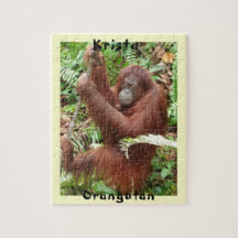 Krista Orang-Utan Borneo-Waldspaß