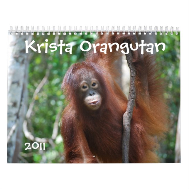 Krista Orang-Utan Tier-Wohltätigkeitkalender Kalender (Titelbild)