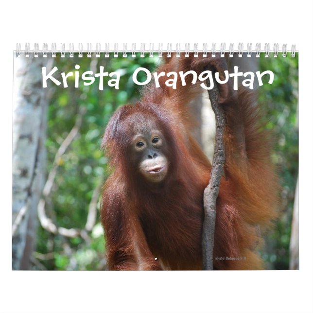Krista Orangutan Wohltätigkeit Kalender (Titelbild)