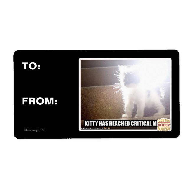 Kritische Masse Kitty (Vorne)