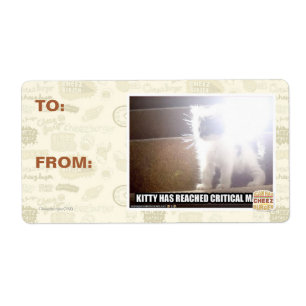 Kritische Masse Kitty