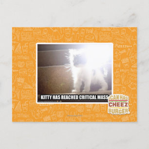 Kritische Masse Kitty Postkarte