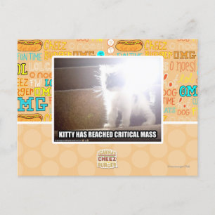 Kritische Masse Kitty Postkarte
