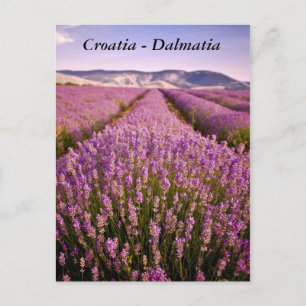 Kroatien - Dalmatien Postkarte