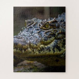 Krokodil