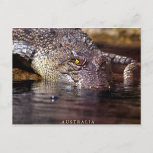 Krokodil, A S T R A L I A Postkarte