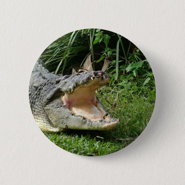 Krokodil Button (Vorderseite)