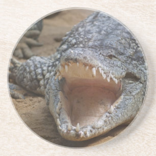 Krokodil Getränkeuntersetzer