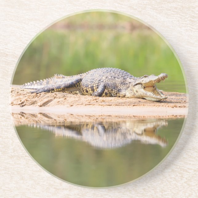 Krokodil Getränkeuntersetzer (Vorne)