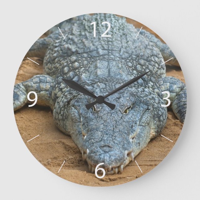Krokodil Große Wanduhr (Vorderseite)