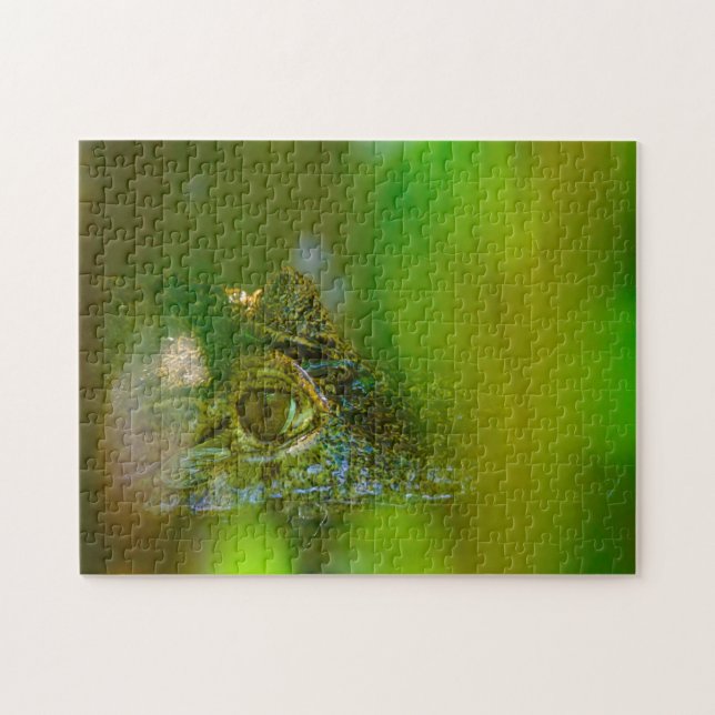 Krokodil in Guyana. (Horizontal)