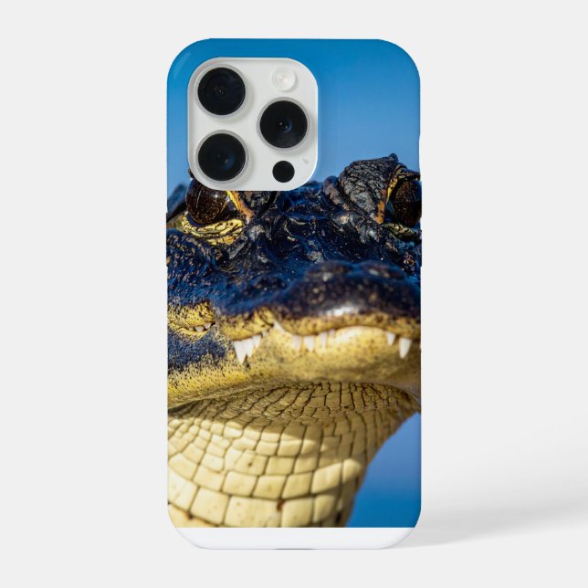 Krokodil iPhone 15 Pro Hülle (Rückseite)