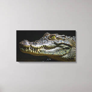Krokodil Leinwanddruck