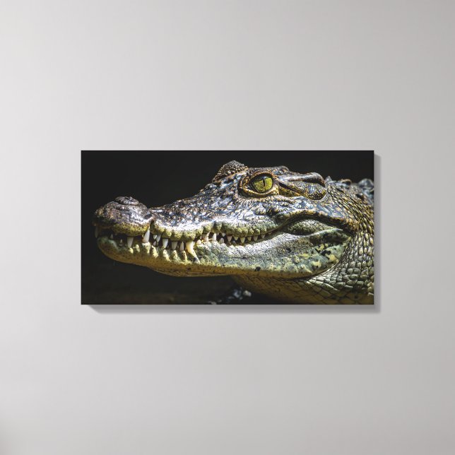Krokodil Leinwanddruck (Vorderseite)