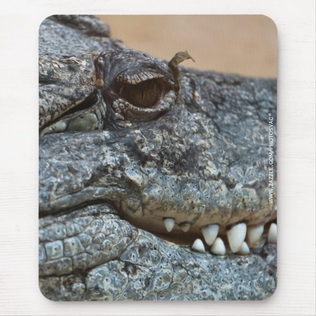 Krokodil Mousepad (Vorne)