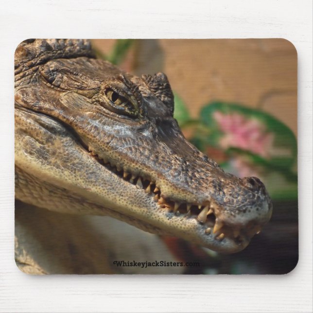 Krokodil Mousepad (Vorne)