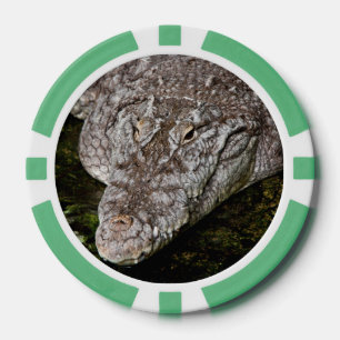Krokodil Pokerchips
