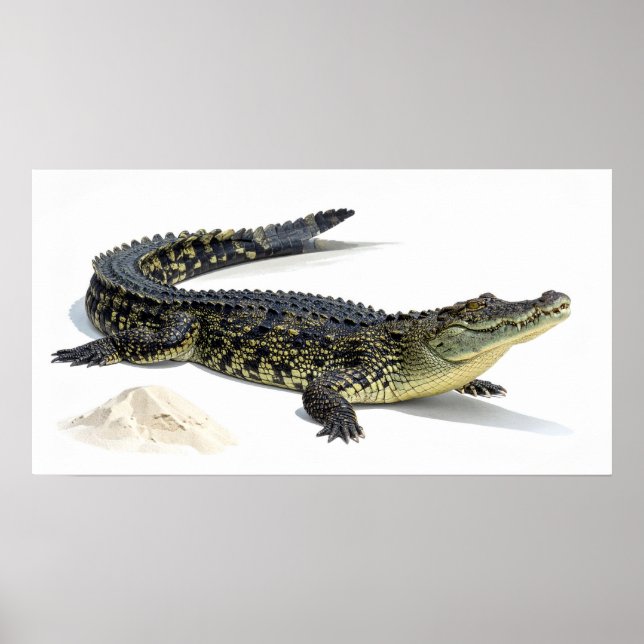 Krokodil Poster (Vorne)
