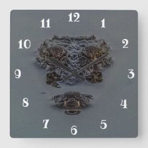 Krokodil Quadratische Wanduhr