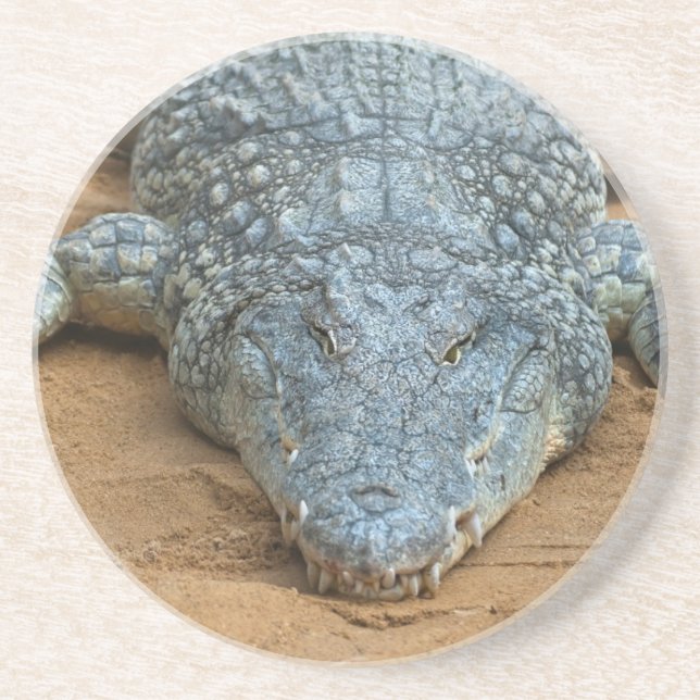 Krokodil Sandstein Untersetzer (Vorne)