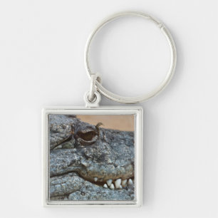Krokodil Schlüsselanhänger