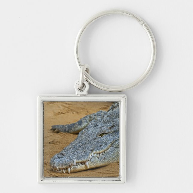 Krokodil Schlüsselanhänger (Vorne)