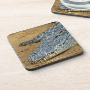 Krokodil Untersetzer