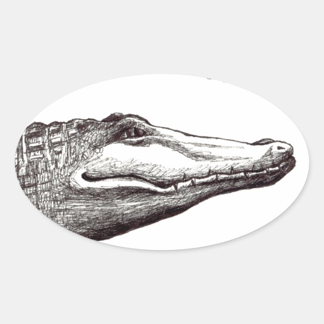 Krokodilalligatorin Libellen zeichnend Kunst Ovaler Aufkleber (Vorderseite)