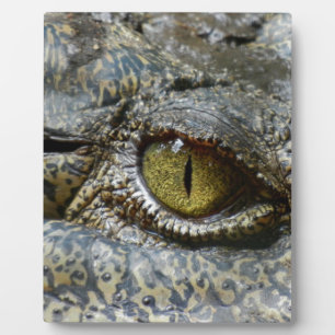 Krokodilauge Gesicht Tier individuell anpassen DIY Fotoplatte