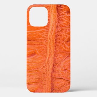 Krokodile Bauchhautstruktur Hintergrund. Dieses Bi Case-Mate iPhone Hülle