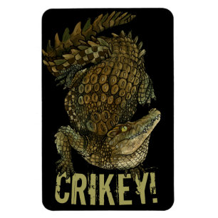 Krokodile Crikey! Magnet