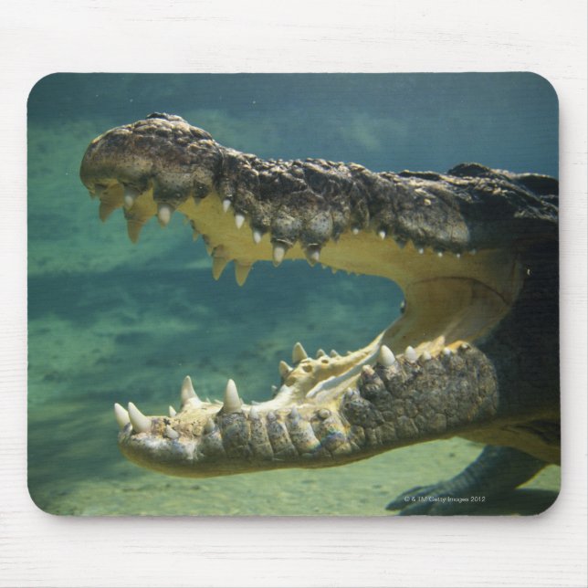 Krokodile Mousepad (Vorne)