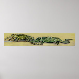 Krokodile Poster