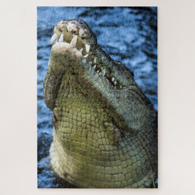 Krokodile Zähne Wasser (Vertikal)