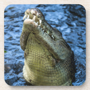Krokodile Zähne Wasser Getränkeuntersetzer